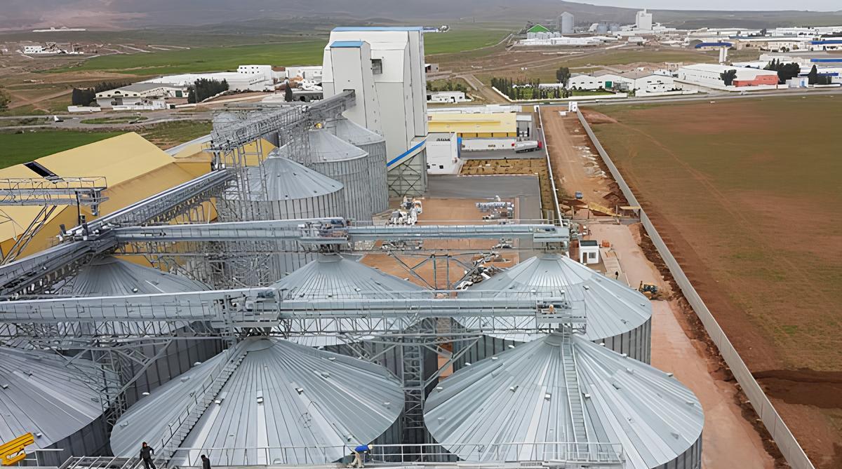 Grain can be stored in loose storage on the floor, concrete silos, or metal silos. Loose storage offers continuous conditions and minimal seed damage but lacks mechanized cleaning and automation. Concrete silos provide reliable, weather-resistant storage with good thermal insulation but may increase crushed particles and require complex maintenance. Metal silos are modern and flexible with ventilation and quality control but have poor thermal insulation, making them more suitable for temporary storage. Storage methods depend on moisture content: dry grain is stored in bulk or preserved with aeration and cooling; moist grain, which exceeds standard by 2-3%, is stored in silos or sealed with cooling and preservation; raw grain, exceeding 3%, needs sealing with preservatives. Grain loss occurs due to moisture evaporation and seed respiration, with maize losing about 120 kg/ton and wheat 70 kg/ton over six months. Quality is maintained through aeration, ventilation, cooling, and chemical disinfection, using natural preservatives like ethanol and carbon dioxide or chemical ones like acids.